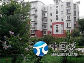 国产综合社区,打造多元化互动平台,引领网络文化新潮流